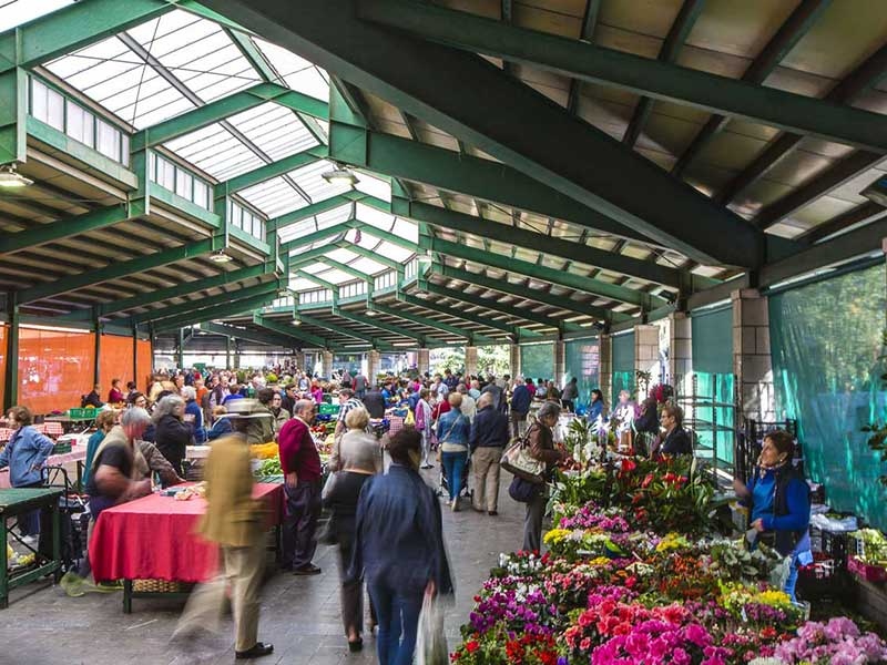 un lunes en gernika Jai Alai neguetxea urdaibai